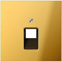 Лицевая панель Jung LS990 metal для 1-м. розетки RJ11/RJ45 золото картинка